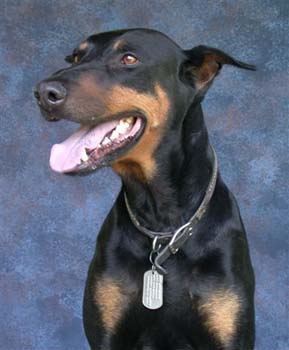 Sergeant